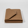 2021 Sunglasses, Triangular, Brown, Detachable Case